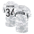 Elroe C.Bears #34 Walter Payton Player Arctic Camo Salute to Service Performance T-Shirt Limited Stitched Jerseys