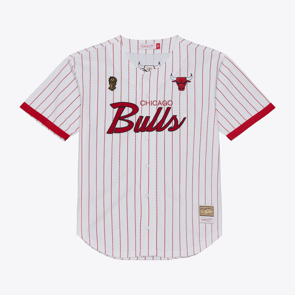 Elroe C.Bulls Mitchell & Ness White Head Coach Pinstripe Mesh Full-Button Baseball Jerseys