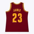 Elroe C.Cavaliers #23 LeBron James Mitchell & Ness Wine 2015-16 Swingman Jerseys