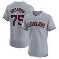 Elroe C.Guardians #75 Connor Brogdon Player Gray Road Limited Elite Home Stitched Jerseys