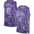 Elroe LA.Lakers #8 LeBron James Purple Select Series Swingman Stitched Jerseys