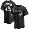 Elroe T.Blue Jays #25 Anthony Santander Player Black City Connect Limited Stitched Jerseys